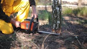 Lawn Grading and Leveling in Hutchinson, MN